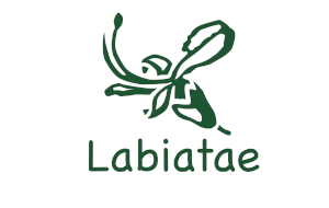 Logo-Labiatae-1.jpg